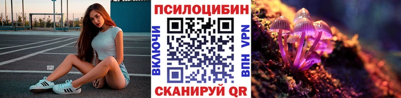 Купить Касли Псилоцибиновые грибы MAGIC MUSHROOMS